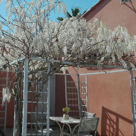 Gite Mas Uranie Le Soler Экстерьер фото
