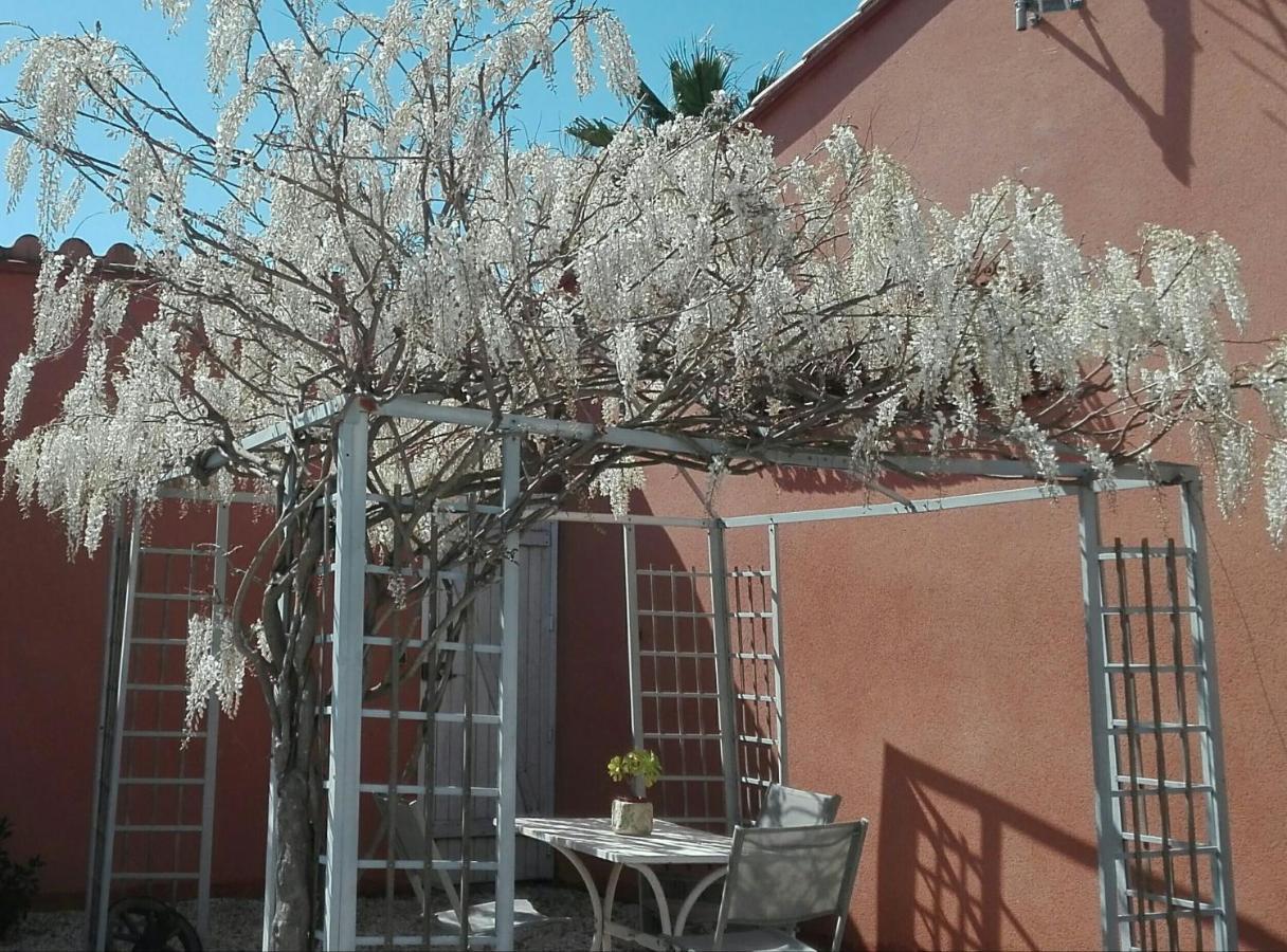 Gite Mas Uranie Le Soler Экстерьер фото