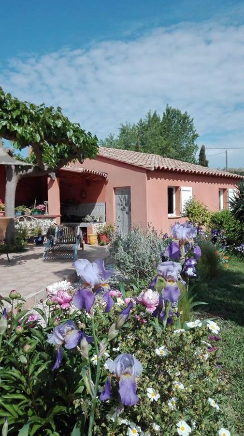 Gite Mas Uranie Le Soler Экстерьер фото